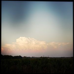 Meet your Posher, Elaina